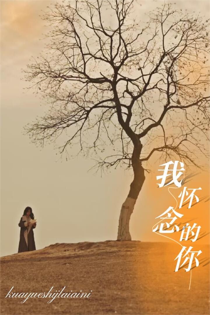 我怀念的你&跨越时间来爱你海报
